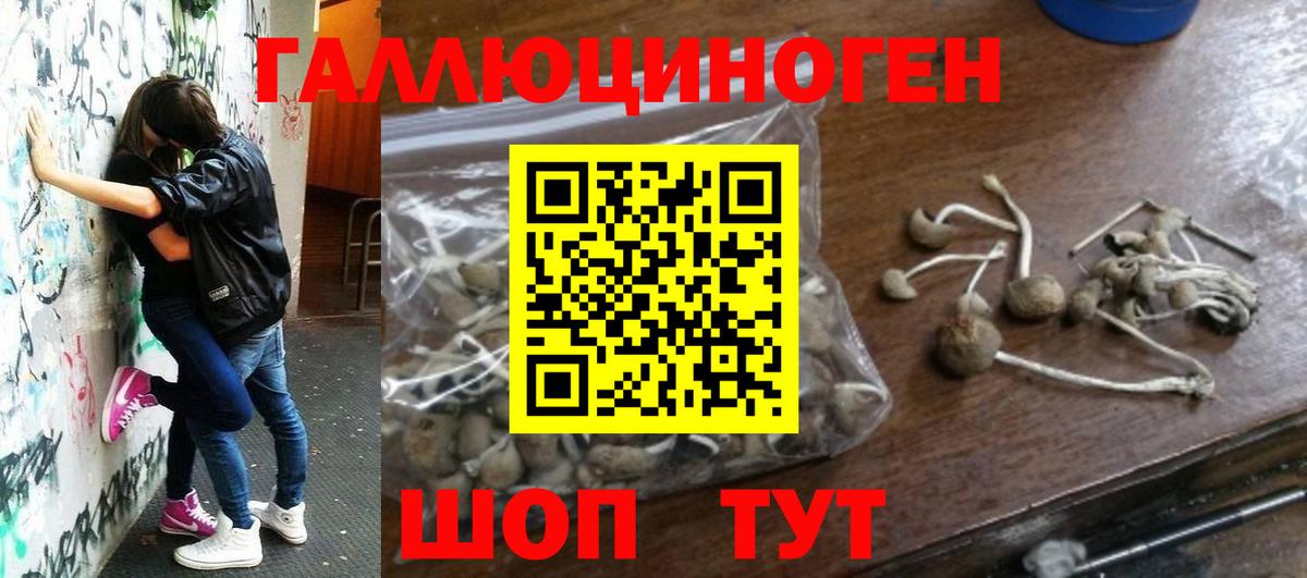 Галлюциногенные грибы мухоморы  Вход с VPN  Ставрополь 
