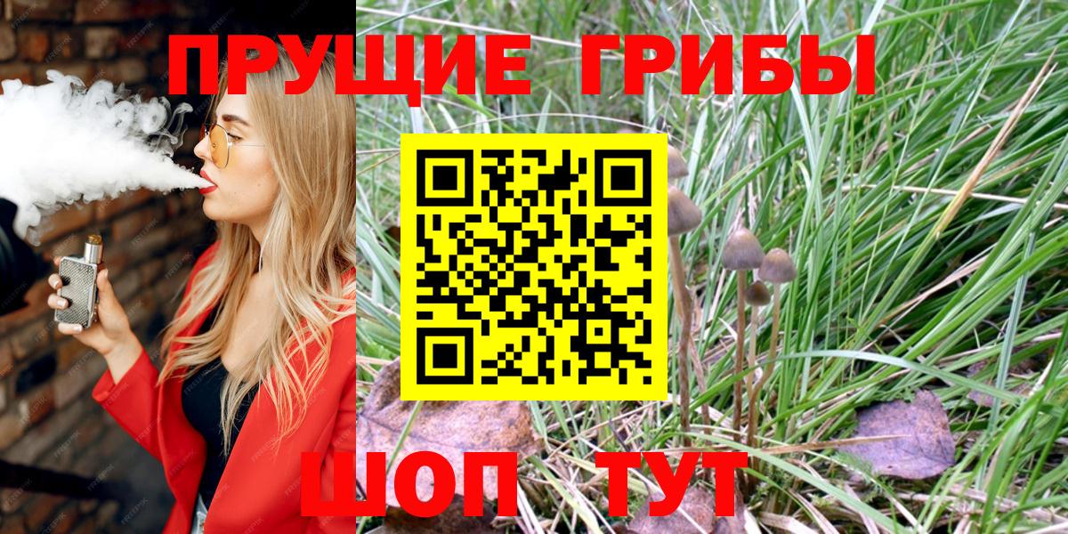 Псилоцибиновые грибы Magic Shrooms Ставрополь